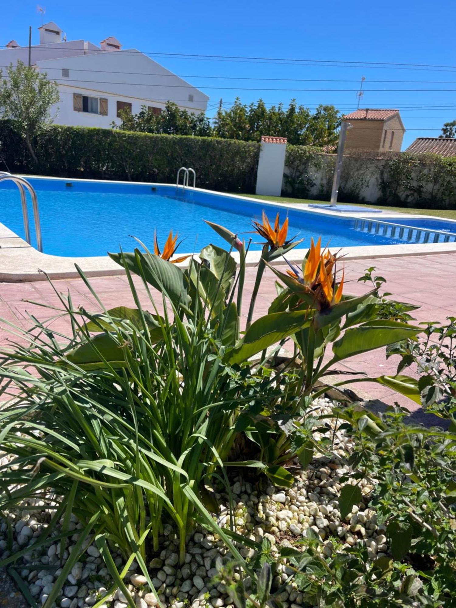 Cala Puntal Apartman Vinarós Kültér fotó