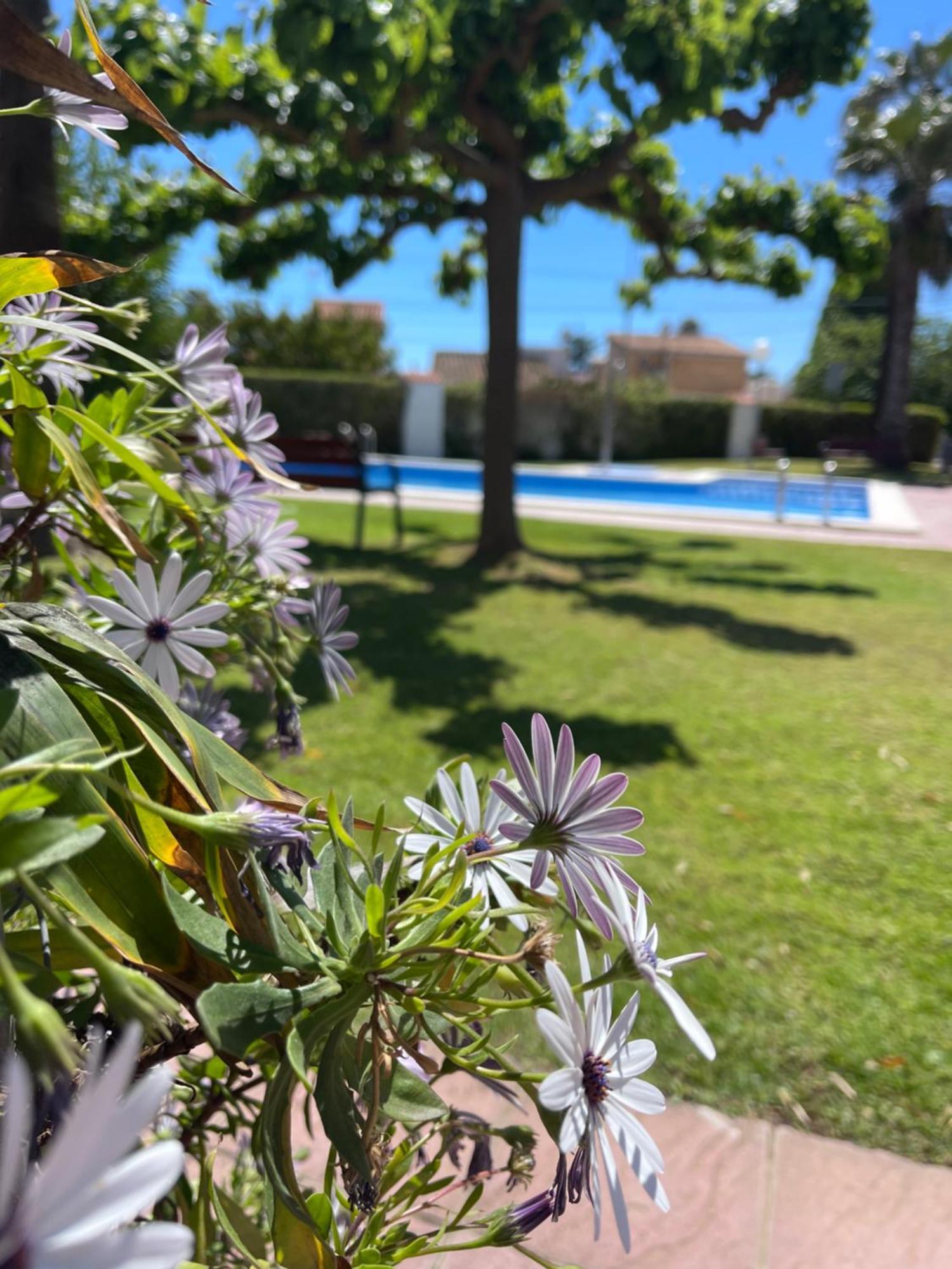 Cala Puntal Apartman Vinarós Kültér fotó