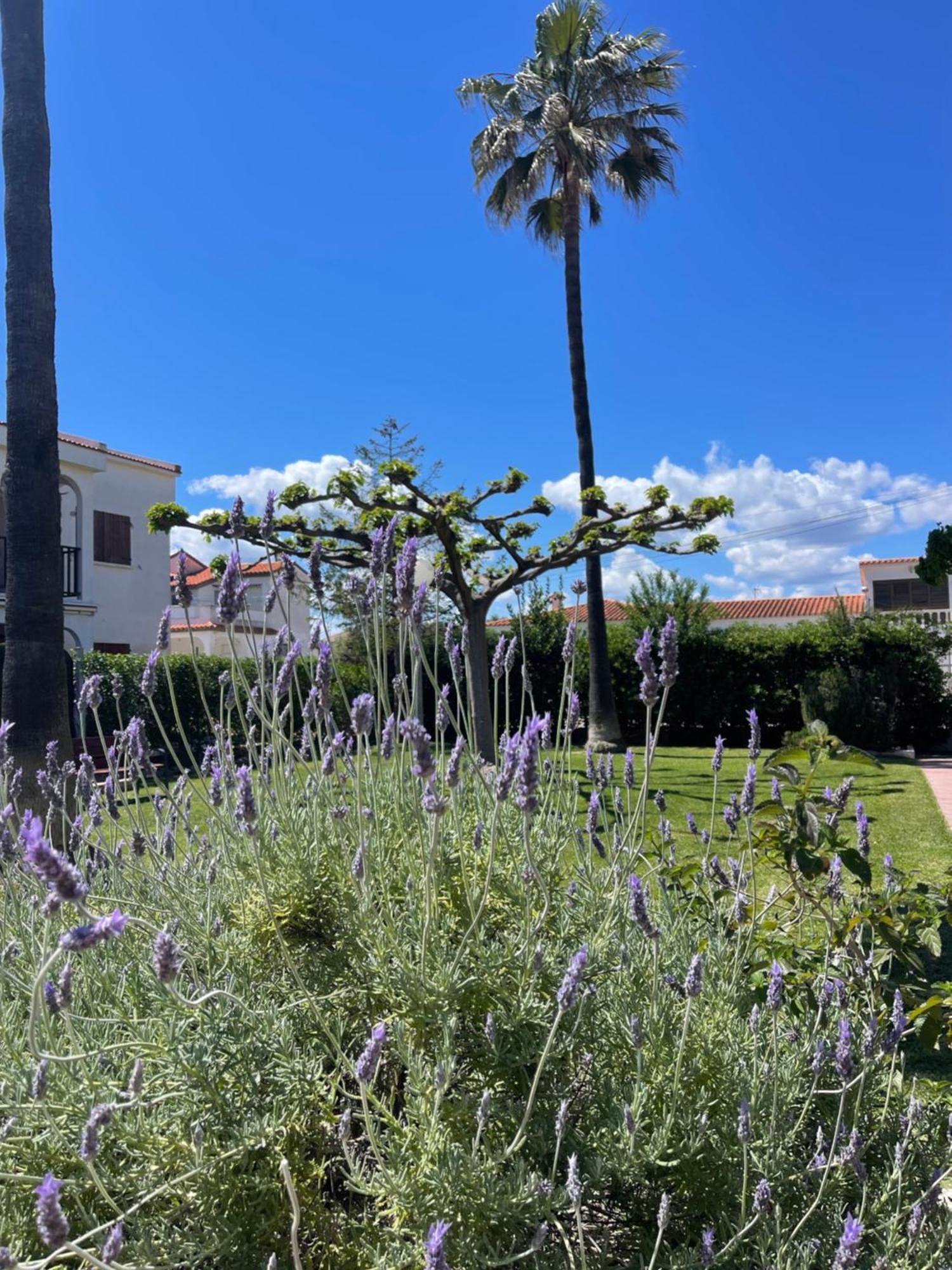 Cala Puntal Apartman Vinarós Kültér fotó